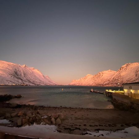 House Of Ellie Panzió Ersfjordbotn Kültér fotó