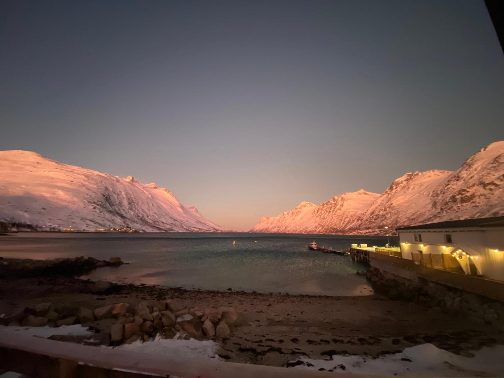 House Of Ellie Panzió Ersfjordbotn Kültér fotó